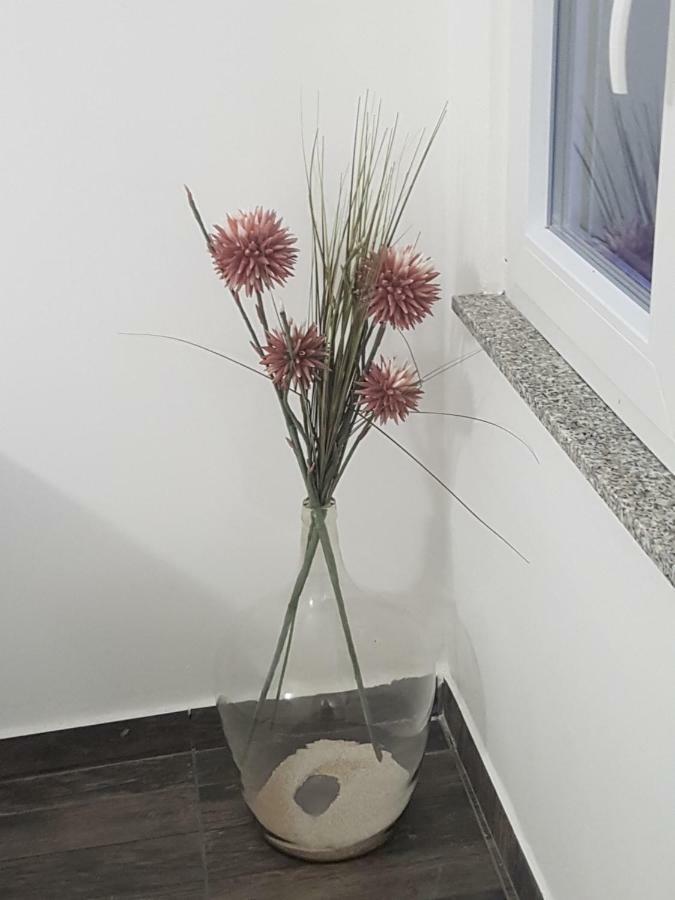 Vila Velvet Hotel Starigrad Paklenica Luaran gambar